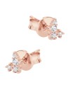 Flower Silver Stud Earring STS-6719